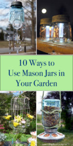 10 Ways to Use Mason Jars in Your Garden