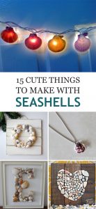 15 Cute Things to Make with Seashells
