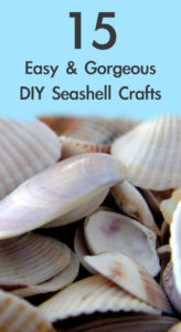 15 Easy and Gorgeous DIY Seashell Crafts