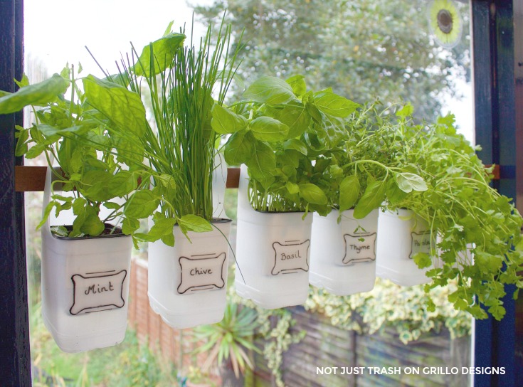 Indoor Bottle Herb Garden