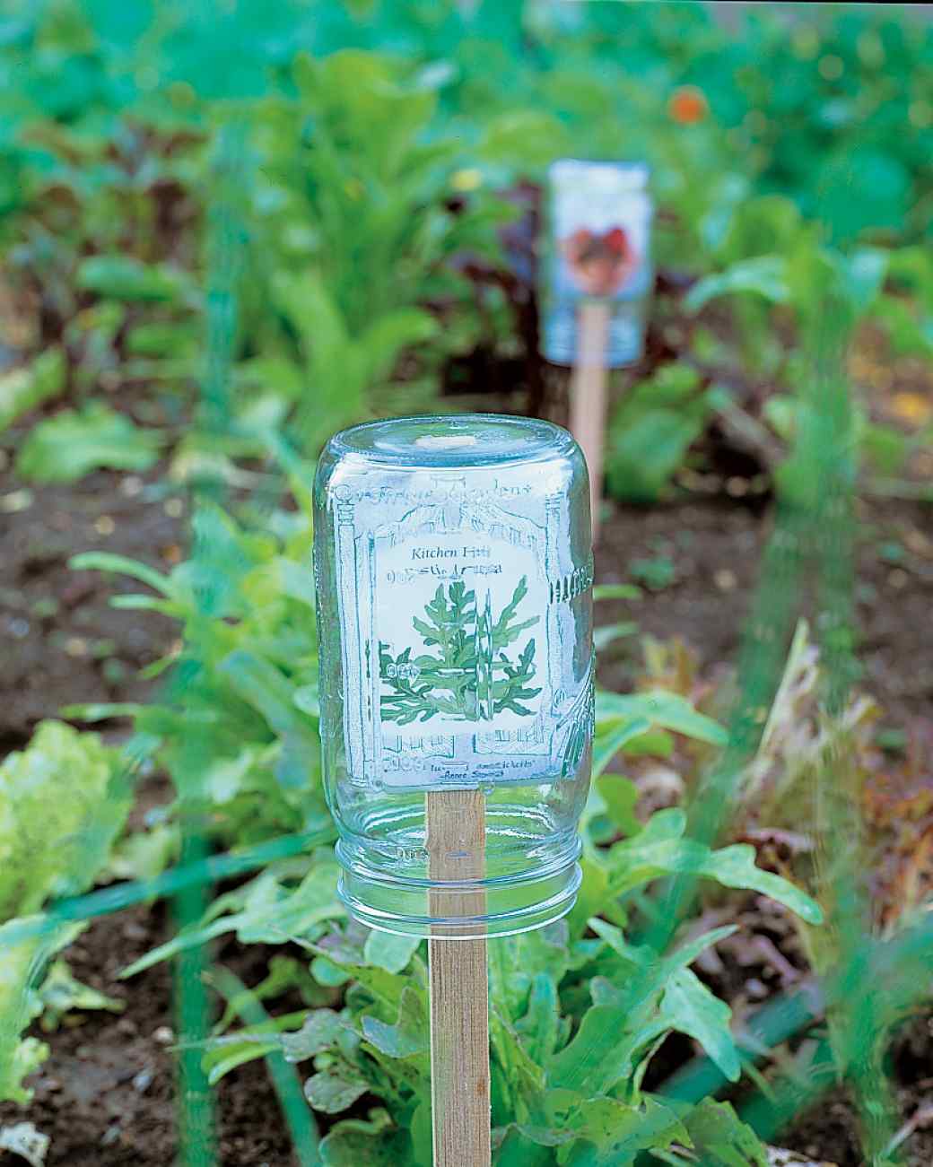 Mason Jar Plant Marker