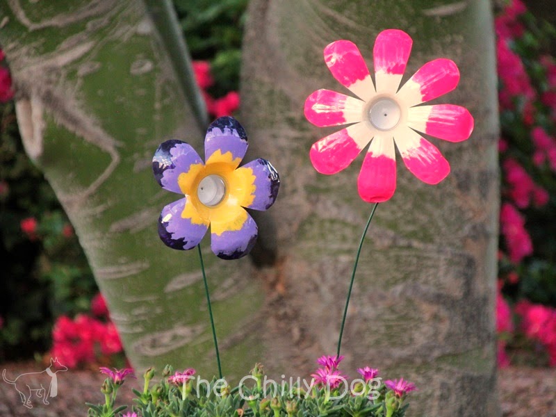 Plastic Bottle Flowers