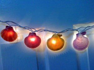 Seashell LED lights