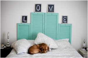 Vintage Shutter Headboard