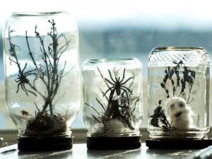 Spooky Terrarium Jars