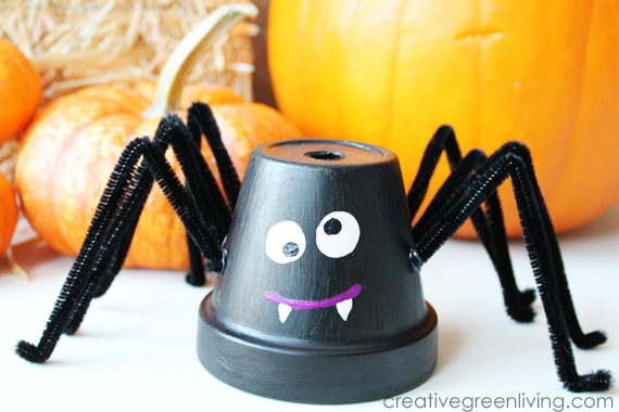 Friendly Flower Pot Spider