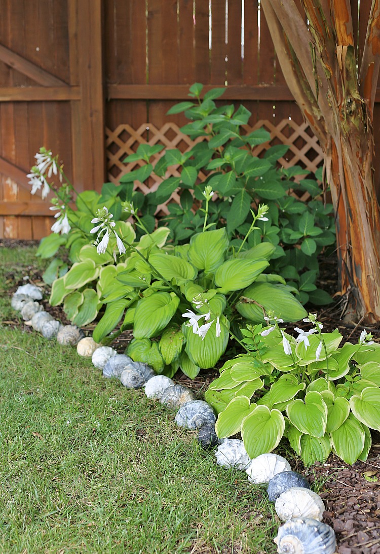 Seashells as Garden Edging