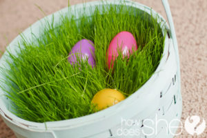 Easter Basket with Real Grass