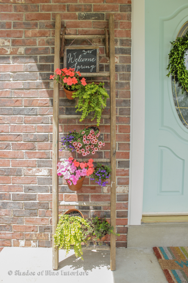 Ladder Vertical Garden