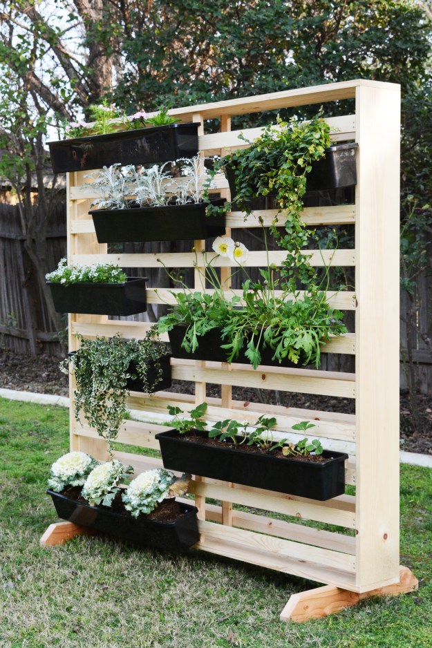 Living Wall with Moveable Planters