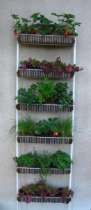 Repurposed Kitchen Spice Rack Vertical Garden