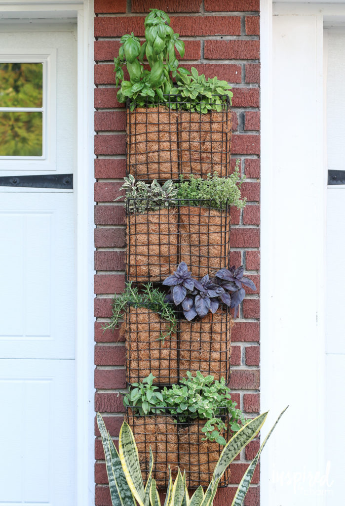 Vertical Herb Garden From Hanging File Organizer