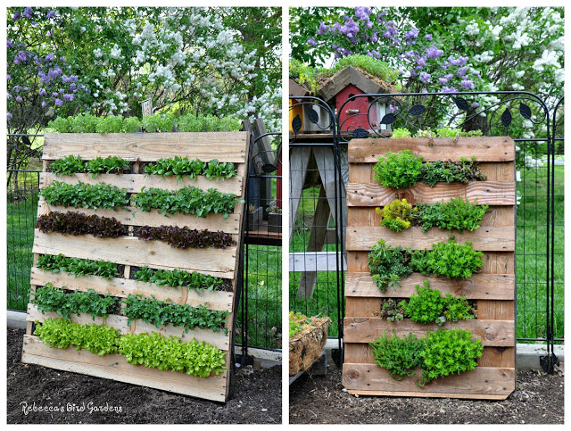 Vertical Pallet Garden