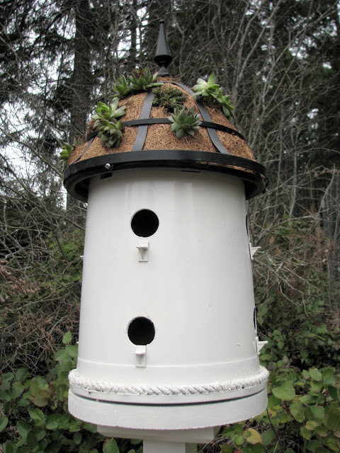 Adorable Bird House