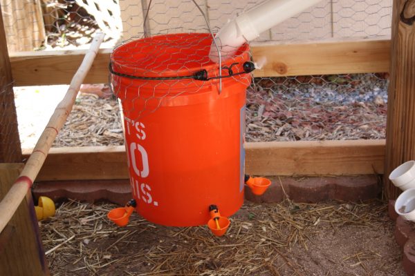 Chicken Waterer