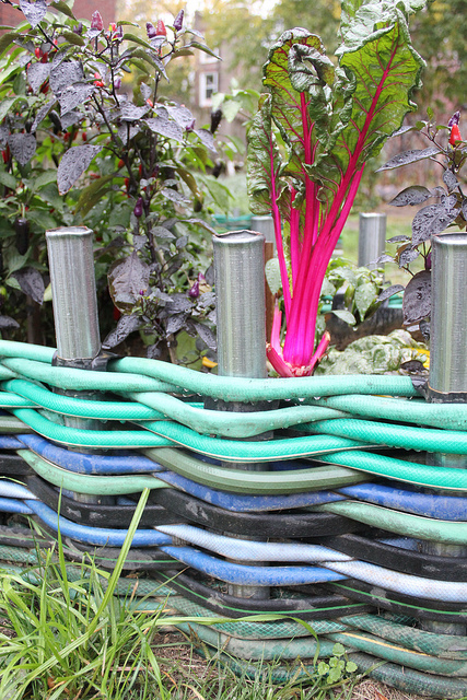 Garden Edging from Old Garden Hoses