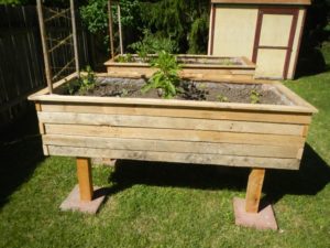 Raised Garden Beds