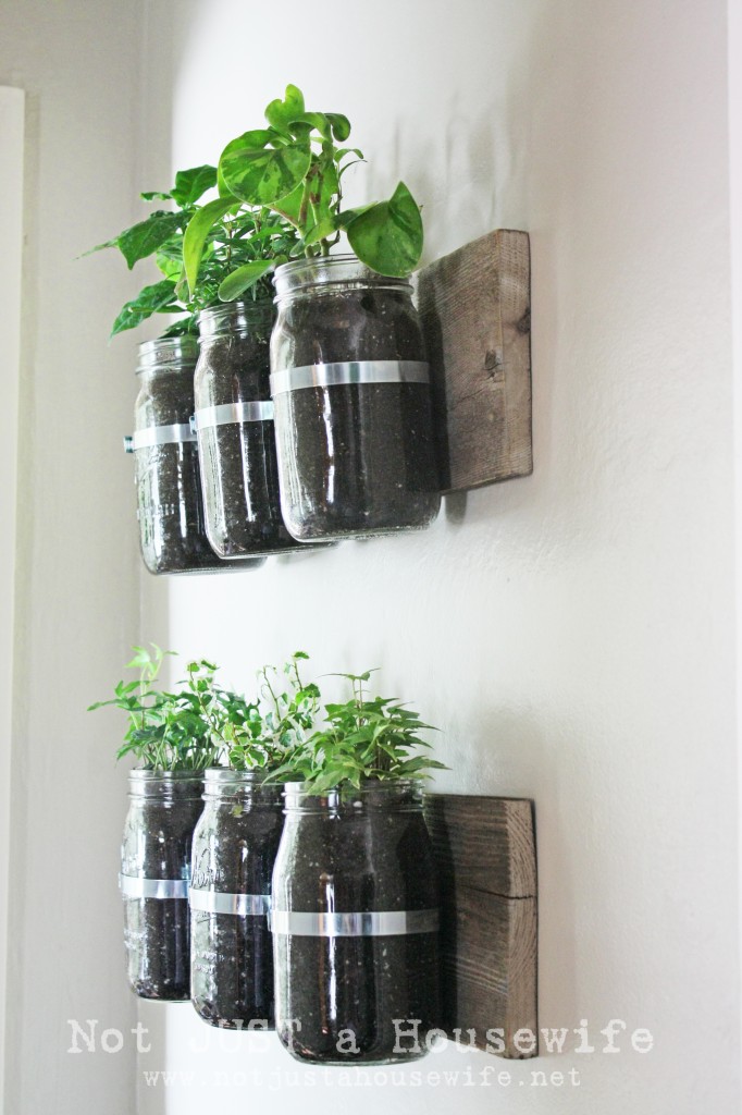 Mason Jar Herb Garden