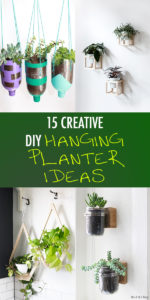 15 Creative DIY Hanging Planter Ideas For Indoors And Outdoors