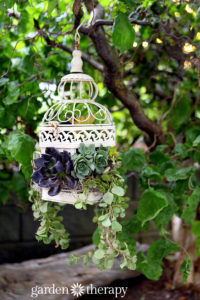 Birdcage Hanging Planter