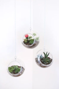 Plastic Fishbowl Hanging Planters