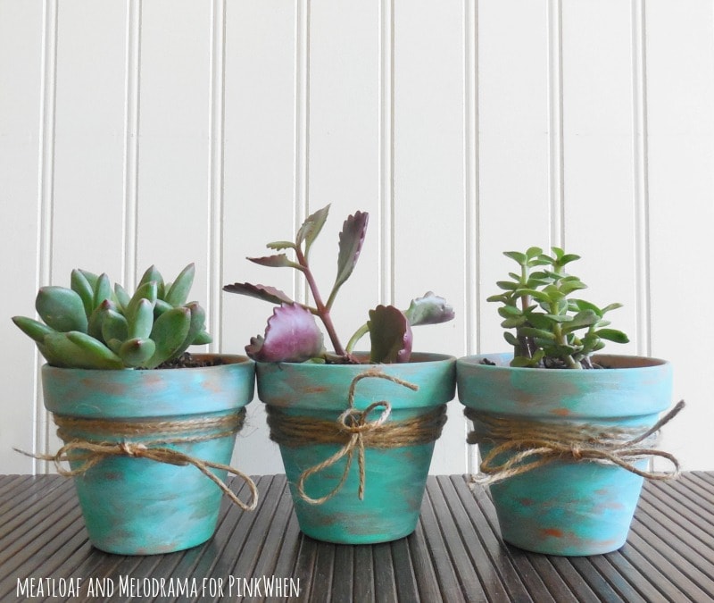 Rustic Succulent Pots