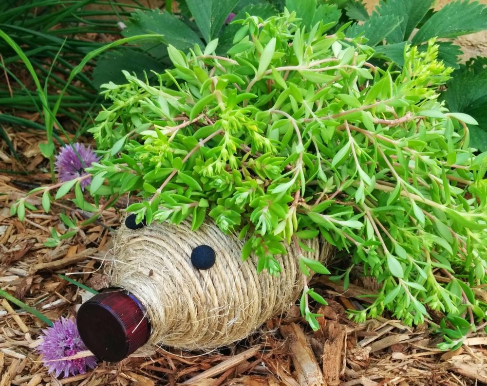 Hedgehog Bottle Planter