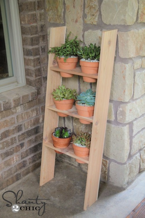 Ladder Planter