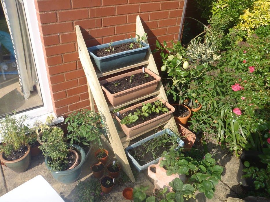 Simple Planter Ladder