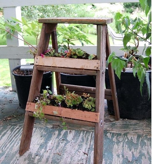 Step Ladder Planter